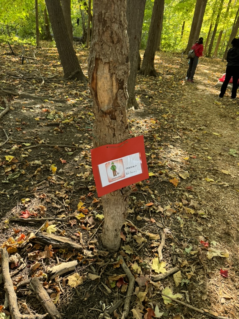 Activité Promenons nous dans les bois