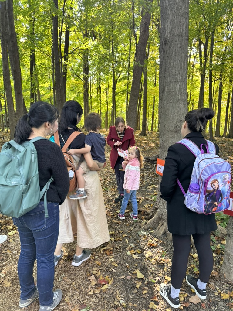 Activité Promenons nous dans les bois